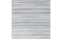 Fiamma F45s Titanium Markise 260 Grau -Zelt im Freien 106647 604695