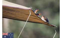 Gordigear Dachzelt 165 Plus Für 3 Personen Mit Vorzelt 165 X 320 Cm Grün -Zelt im Freien 585663 3986115